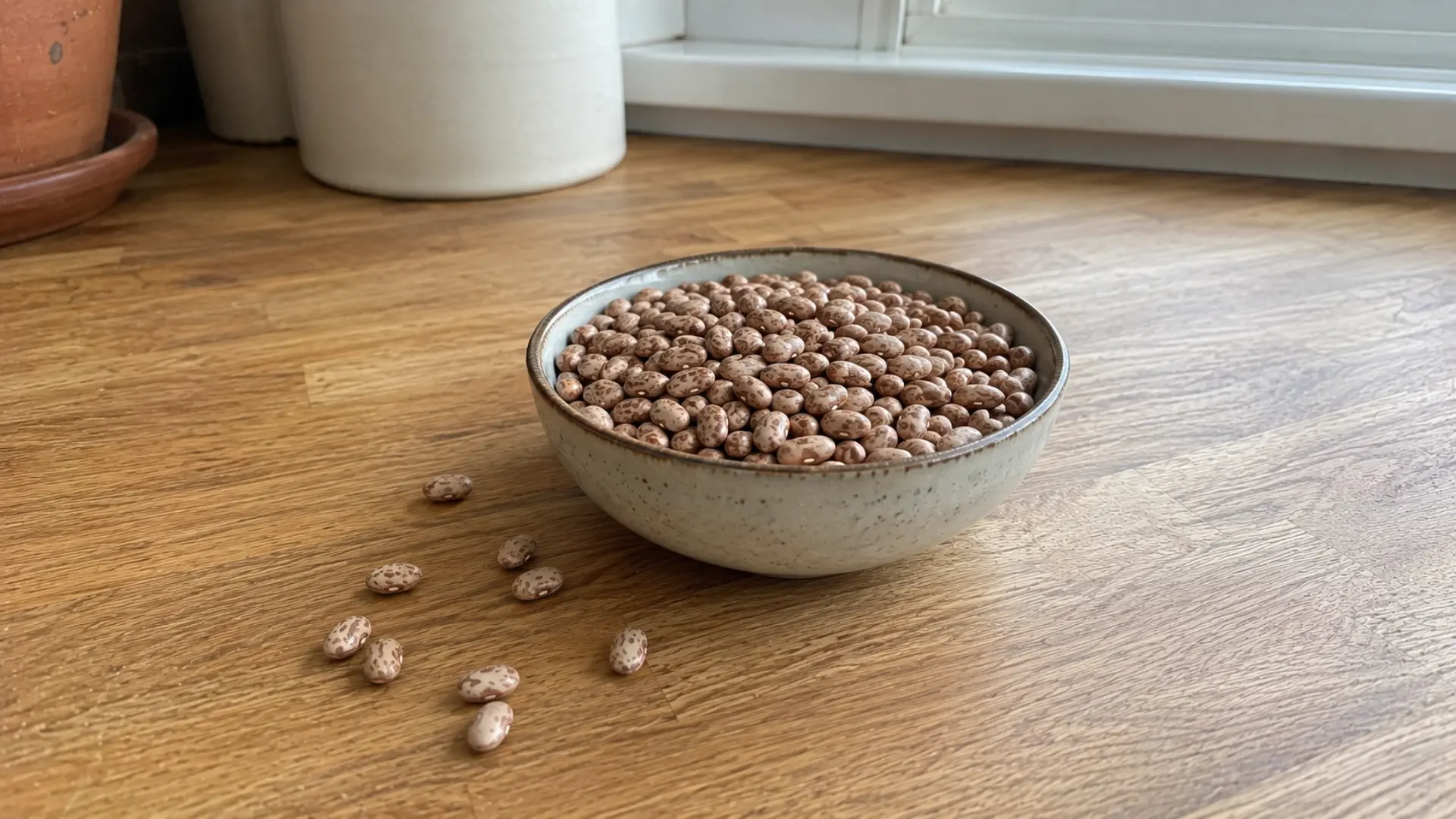 dry speckled pinto beans in a bowl on a wooden countertop in home kitchen