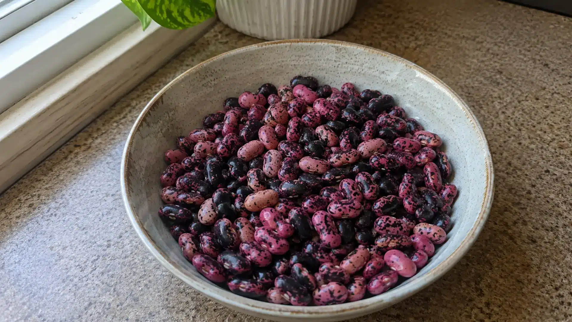dry pink and black speckled scarlet runner beans in a bowl kept on a kitchen counter