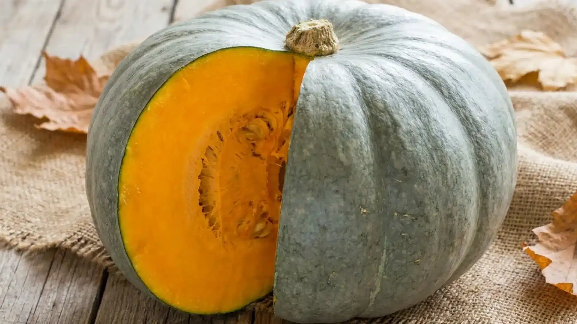 sweet meat squash grey blue skin with sweet orange flesh