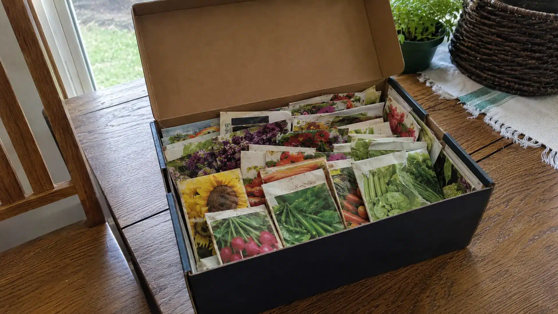 what-determines-how-long-seeds-stay-viable