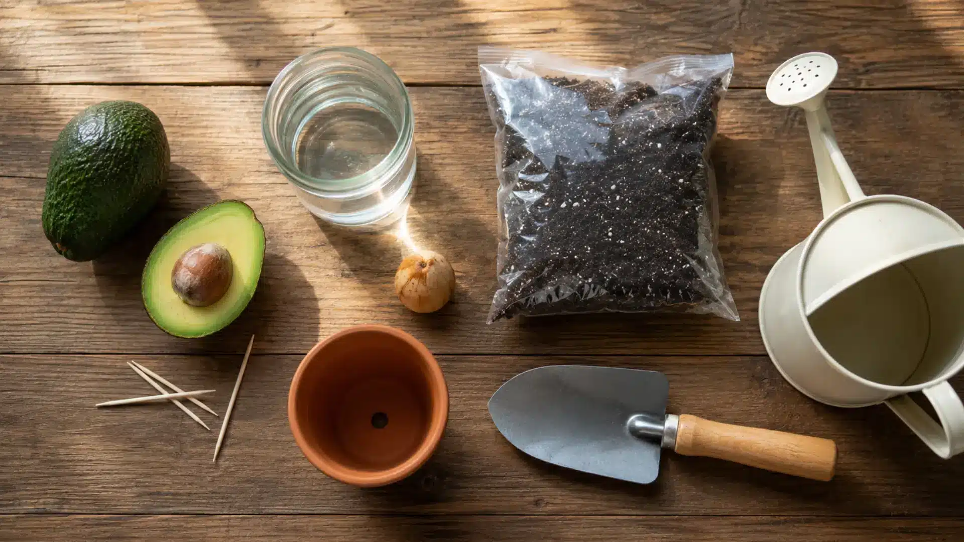 supplies needed to plant an avocado seed arranged neatly on a wooden table