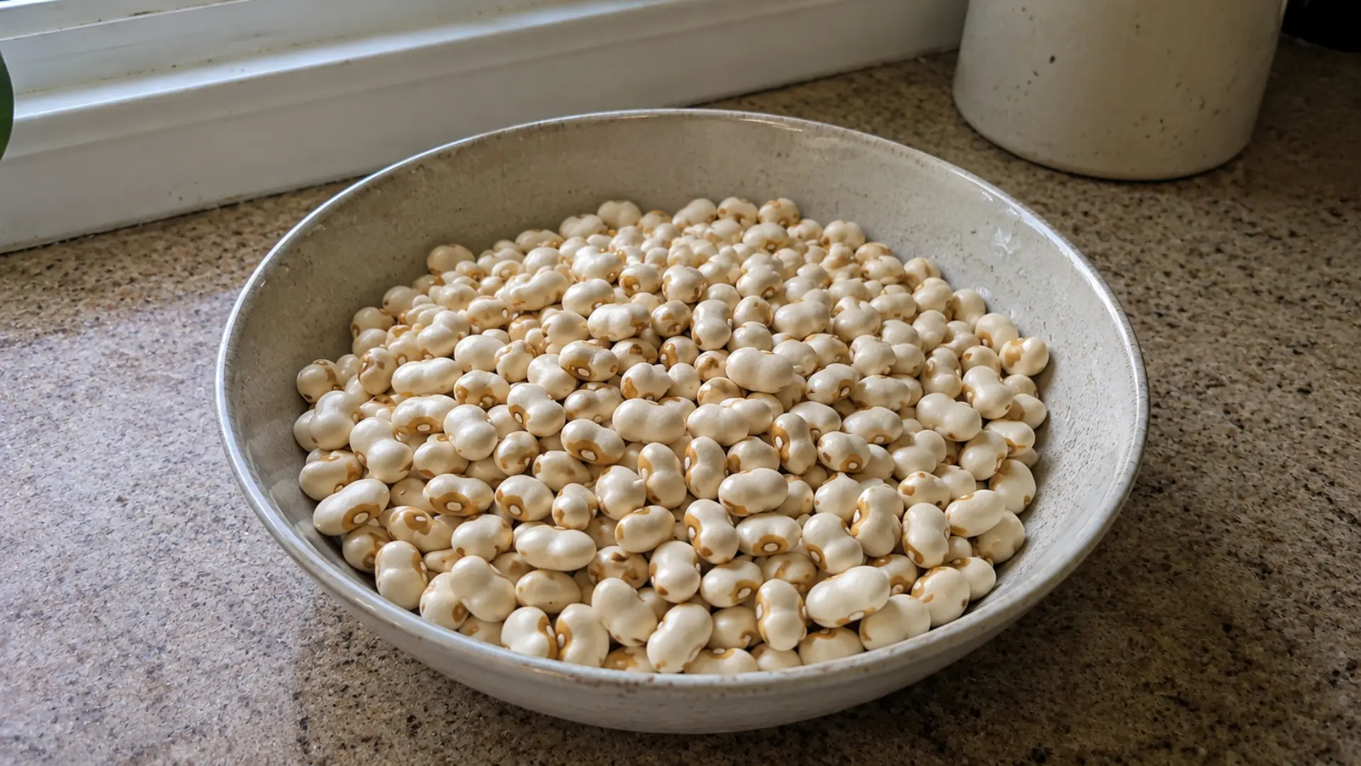 dry off-white yellow eye beans with caramel spot in a bowl on a kitchen table