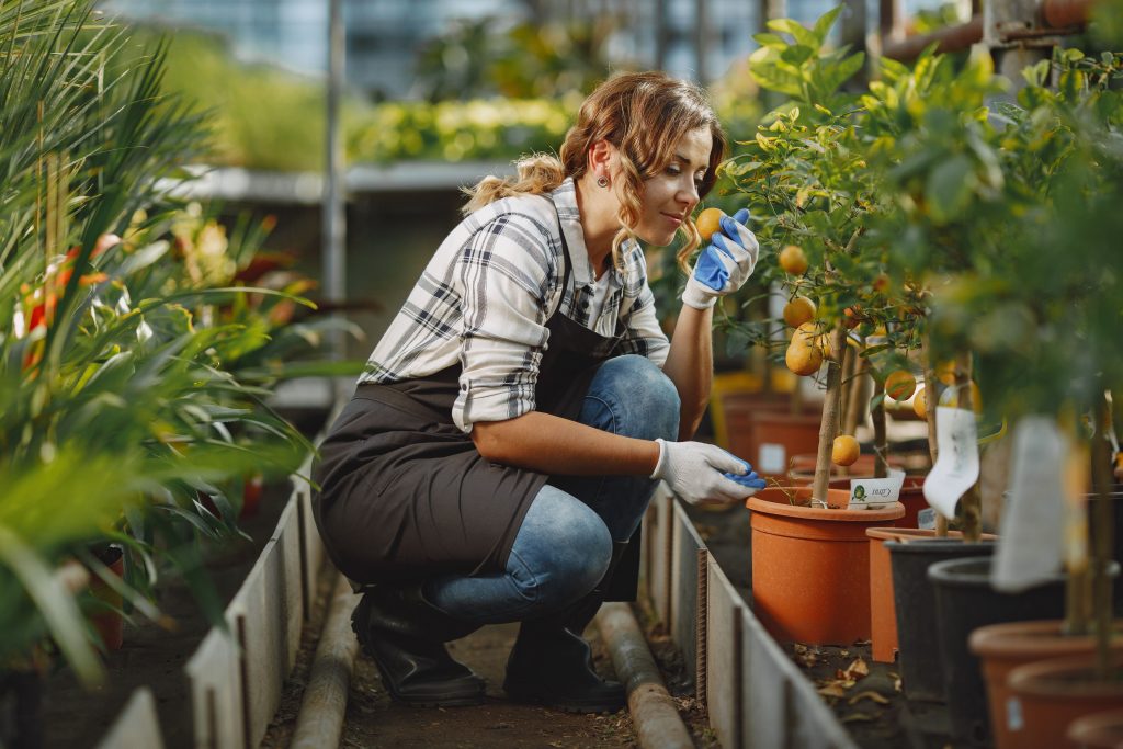 Fruit Garden at Home